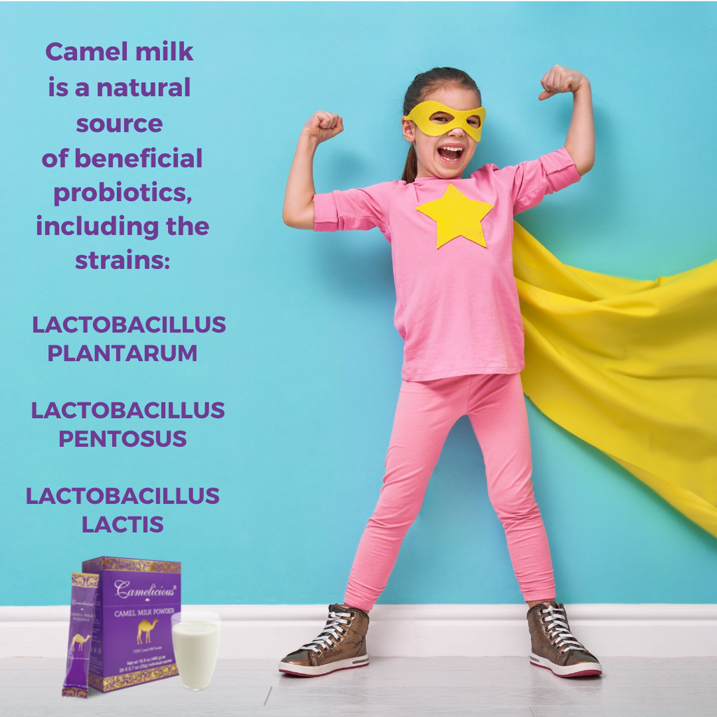 Beneficial Probiotics in Camel Milk