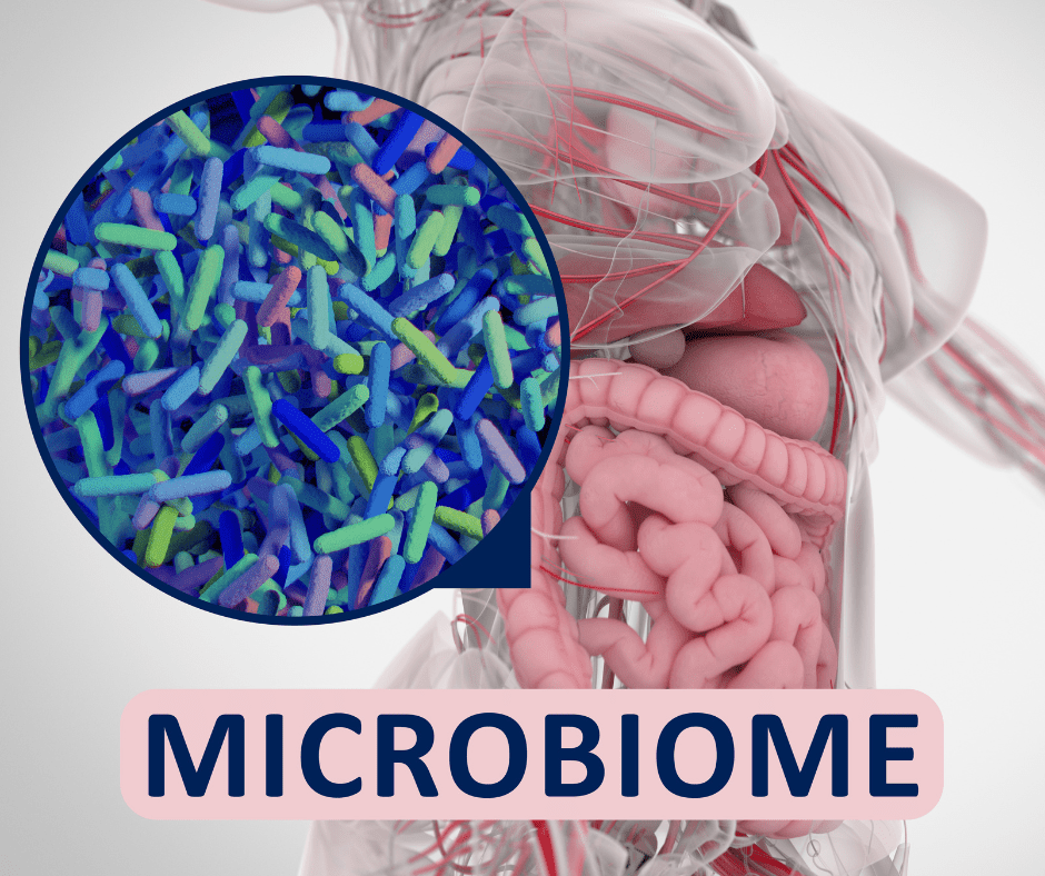 Common Food Preservatives Found to Harm Beneficial Gut Microbes - Spectrum Care Plus