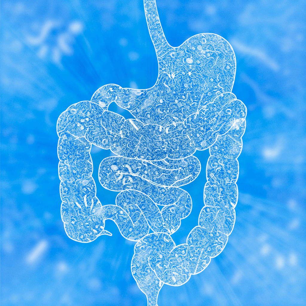 Gut microbiome is most important scientific discovery for human healthcare in recent decades - Spectrum Care Plus