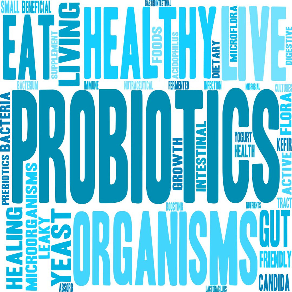 The Difference Between Probiotics and Prebiotics - Spectrum Care Plus