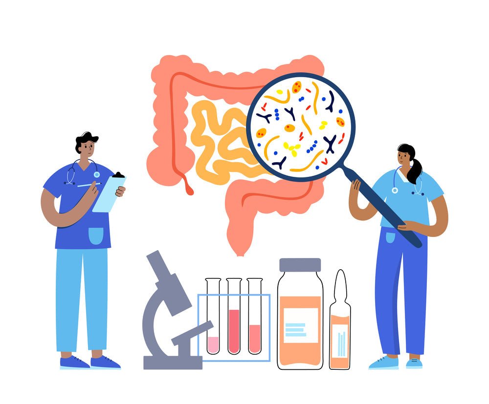 Understanding the Gut-Brain Connection: What It Means for Children with Special Needs - Spectrum Care Plus